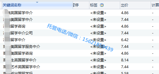 教育培訓行業:出國留學雅思培訓(圖6) 出價
